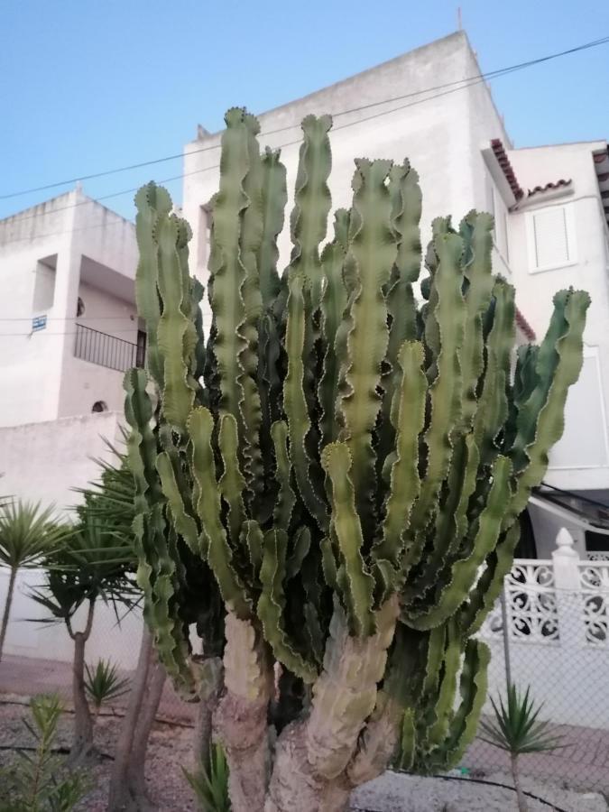 Sol34 Apartment Torrevieja Exterior foto